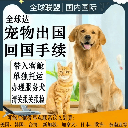石嘴山市宠物托运到柬埔寨宠物入境规定和要求