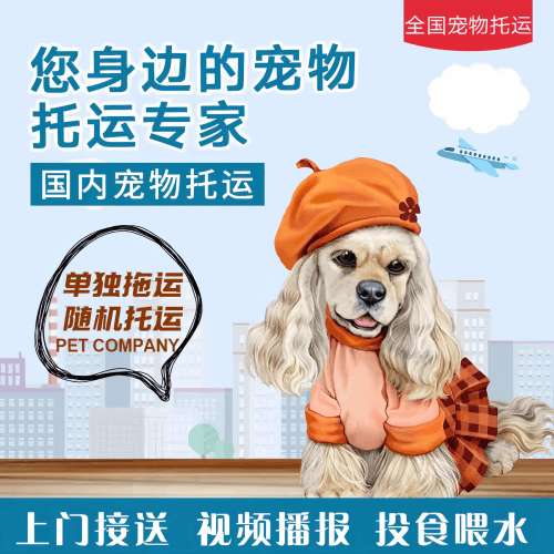 满财石嘴山市宠物全球达宠物托运作为专业的宠物运输代理机构